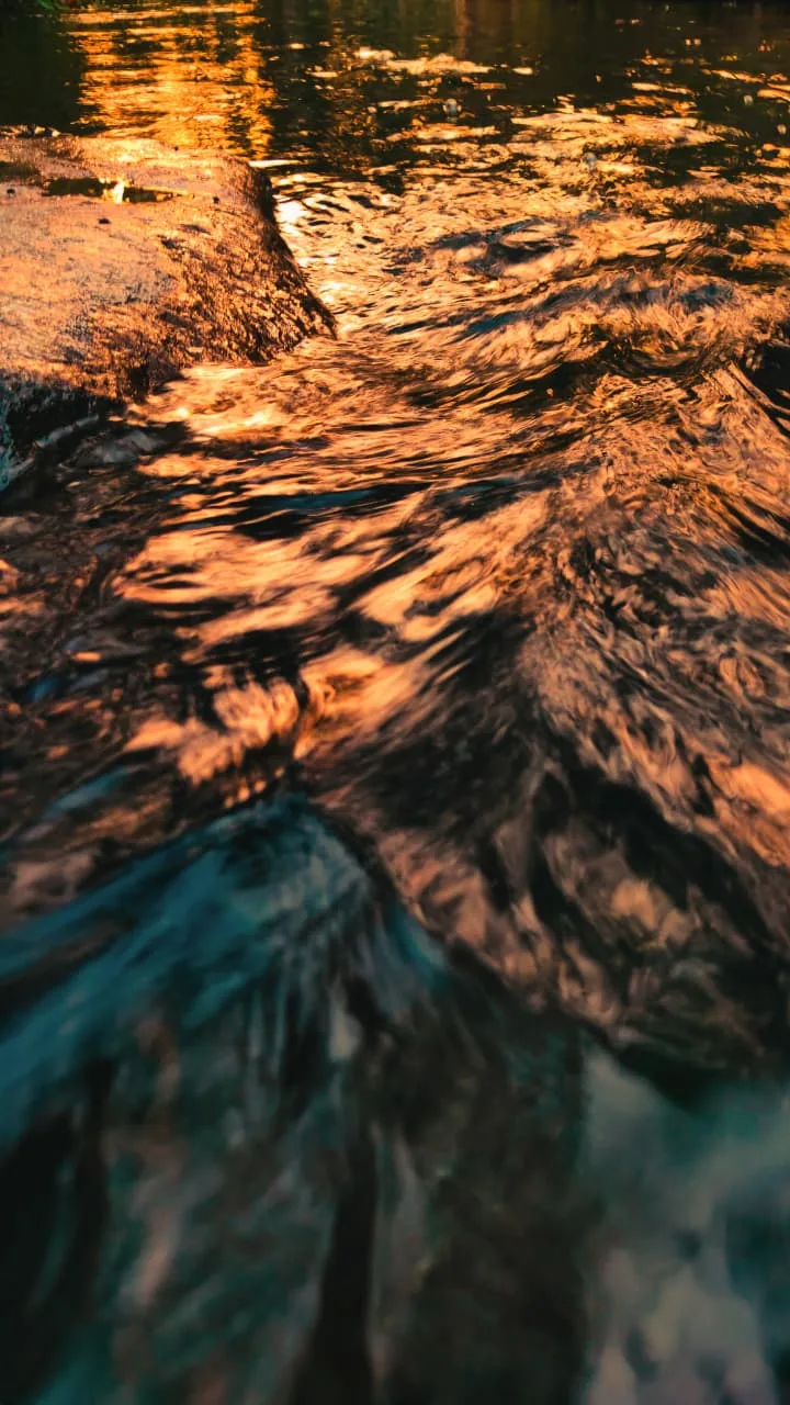 GOLD D HOUR — 1